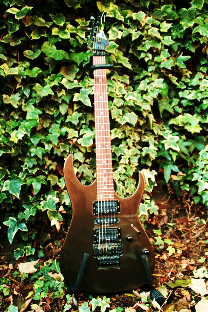 Ibanez RG Prestige electric guitar