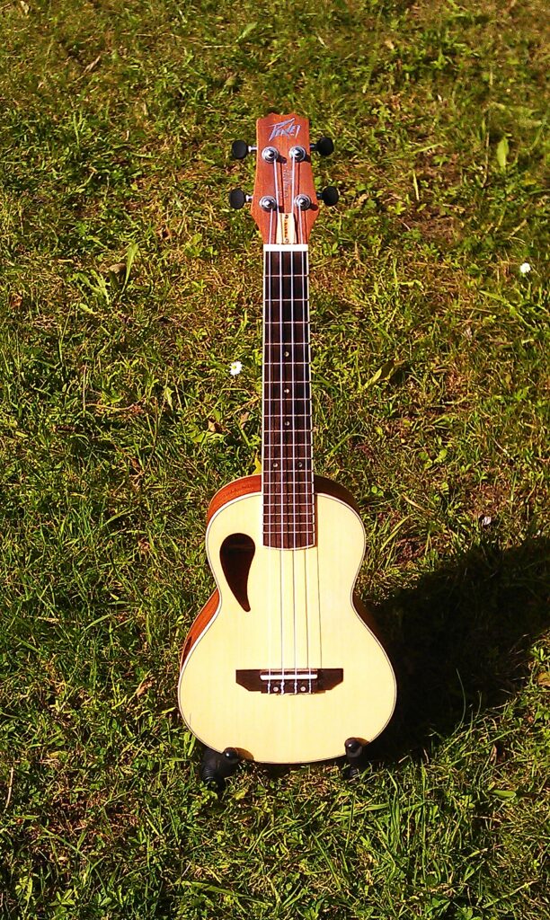 Peavey Composer concert ukulele